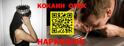 индика Бийск