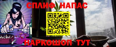 индика Бийск