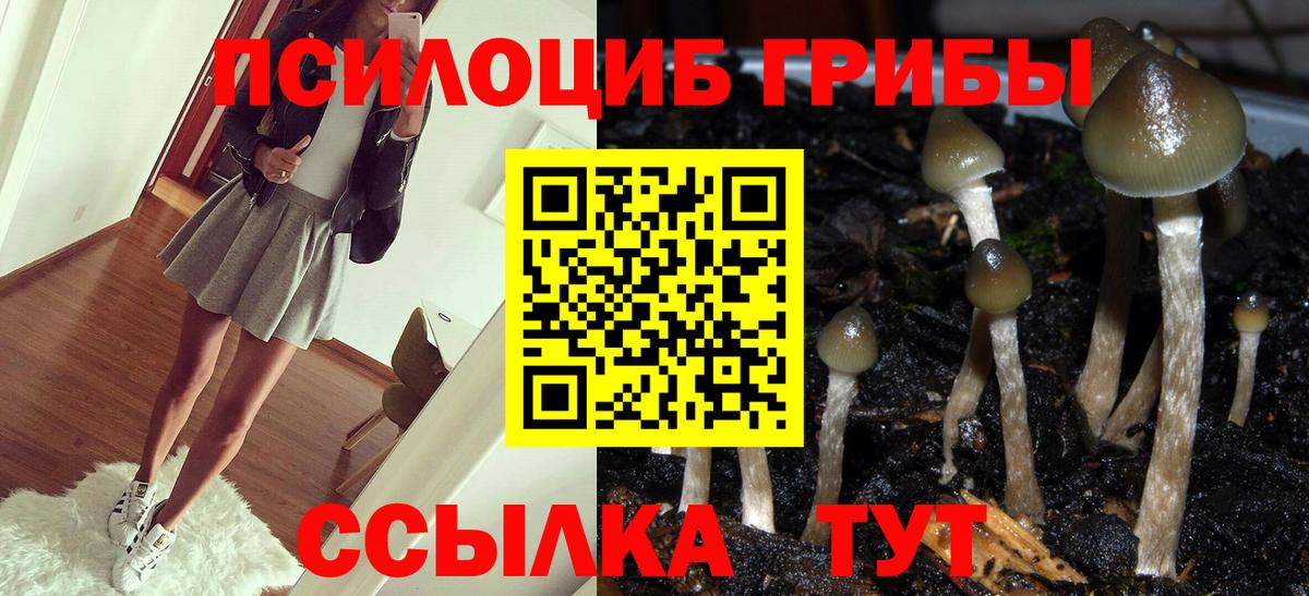 Псилоцибиновые грибы прущие грибы Ковров
